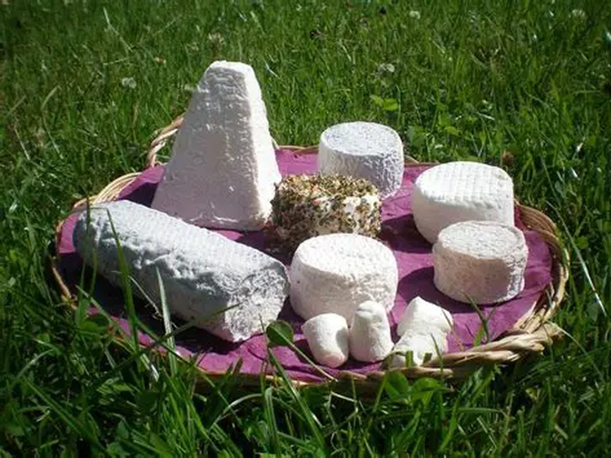 Fromages de chèvre